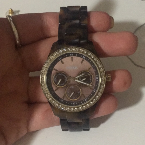 TORTOISE FOSSIL WATCH - Picture 1 of 1